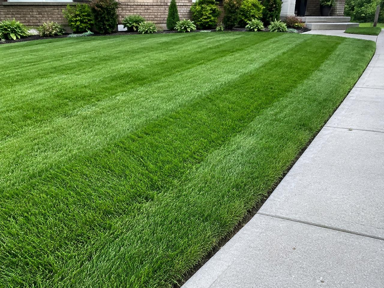 Lawn Services